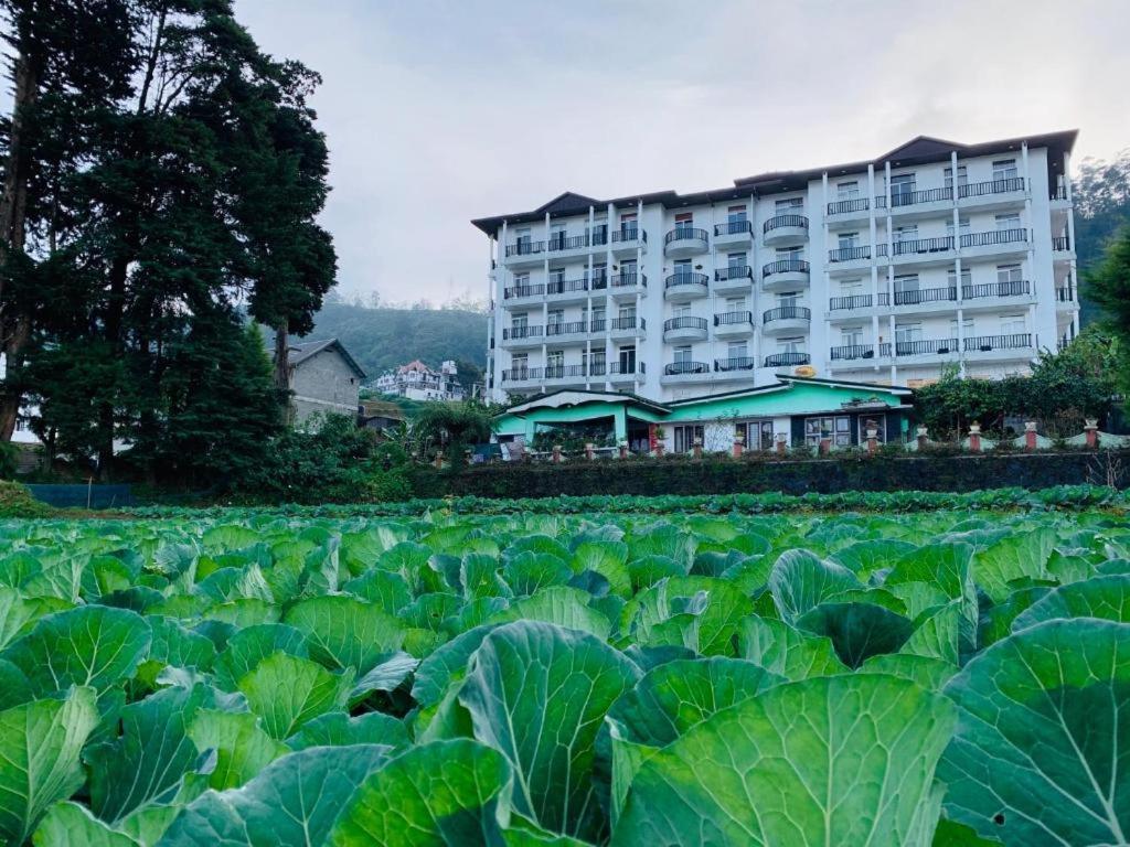 The Teak By Lakbima Apartment Nuwara Eliya Exterior photo